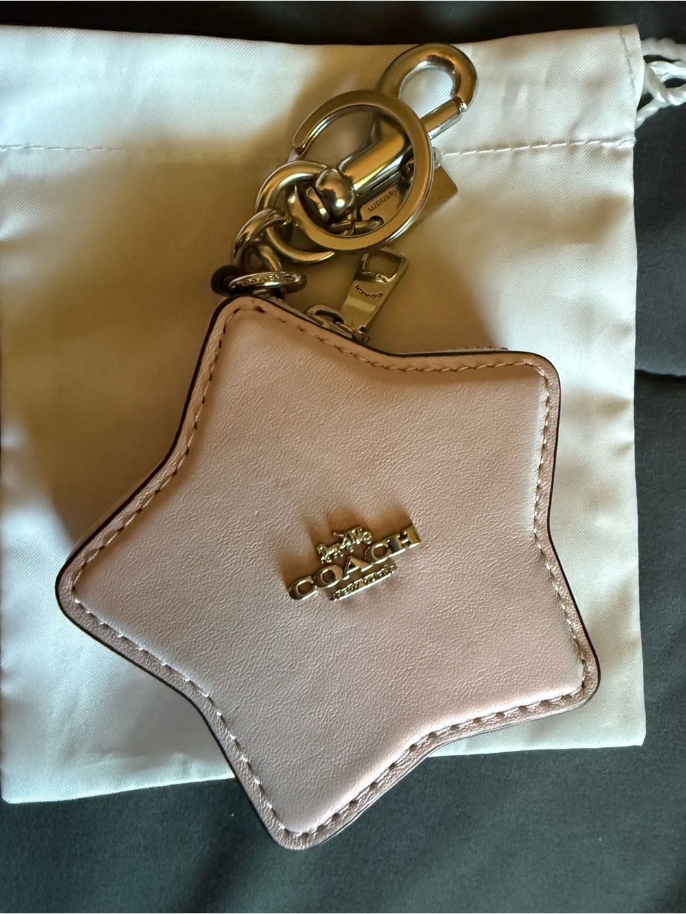 Iridescent Star Coach Bag Charm - Picture 3 of 11